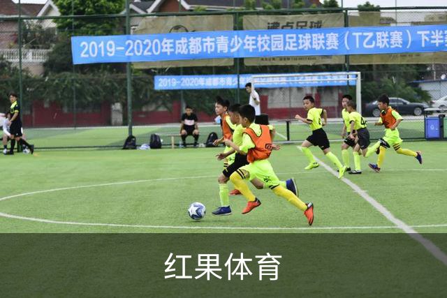 红果体育公司介绍